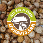 2 Fun Guys logo