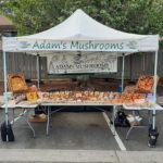 Adams Mushrooms Farmers Market