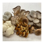 Amazing Fungi & Greens