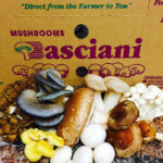 Basciani Foods