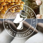 Candlewood Valley Mushrooms
