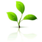 Colusa Farms logo