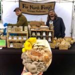 Far North Fungi