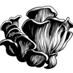 Far West Fungi logo