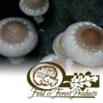 Field and Forest Products