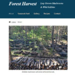 Forest Harvest Massachusetts