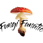 Fungi Fanatic Indiana