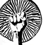 Fungi For The People logo