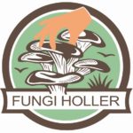 Fungi Holler logo