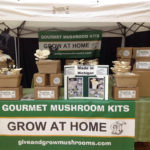Give and Grow Mushrooms Farmers Market Stand