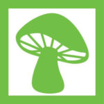 Green box mushrooms logo