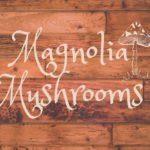 Magnolia Mushrooms