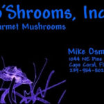 Mo Shrooms Florida