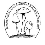 Mycological Association of Washington DC logo
