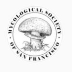 Mycological Society of San Francisco logo