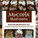 Mycopia Mushrooms