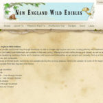New England Wild Edibles