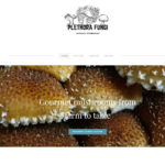 Plethora Fungi Homepag