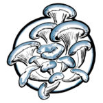 RI Mushroom Co Logo