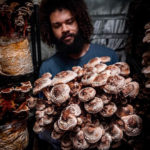 Southwest Mushrooms