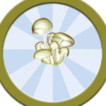 Southwest Mushrooms New Mexico logo