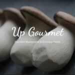 Up Gourmet logo