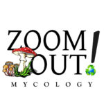 Zoom Out Mycology logo