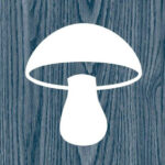 Catskill Fungi logo