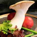 Strictly Mushrooms LLC