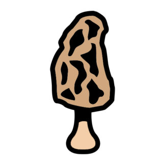 Product Title